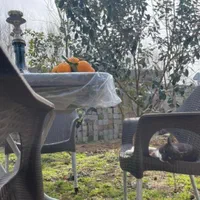 باغ ویلای نقلی|اجارهٔ کوتاهمدت ویلا و باغ|لاهیجان, گلستان|دیوار