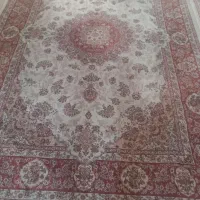 هم یکجا هم تکی به فروش می‌رسد