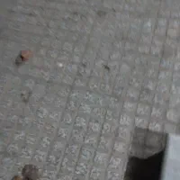 مغازه تجاری سفت کاری شده