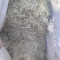 یونجه پرس ۸۰۰ کیلو