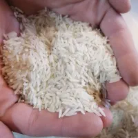 برنج ایرانی مجلسی ب شرط پخت و قیمت