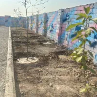 باغچه ۲۱۹ متری نقلی/ با شرایط اقساط|فروش زمین و ملک کلنگی|اندیشه, شهرک المهدی|دیوار