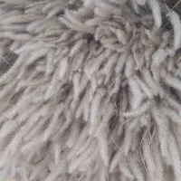 گل دم روباهی