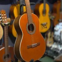 نمایندگی گیتار پارسی|گیتار، بیس، امپلیفایر|خرم‌آباد, |دیوار