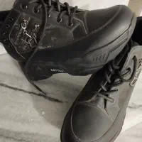 کفش نو|کیف، کفش، کمربند|حمیدیا, |دیوار