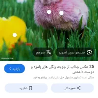 جوجه رنگی می خوام یه دونه