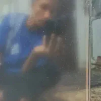 ال سی دی سالم فقط چندتا خط خش دارد|تلویزیون و پروژکتور|تهران, شهرک رضویه|دیوار