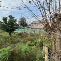 ۲۰۰ متر مسکونی روستایی|فروش زمین و ملک کلنگی|سیاهکل, |دیوار