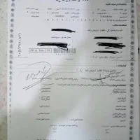 برگ سبزماشینگمکردم
