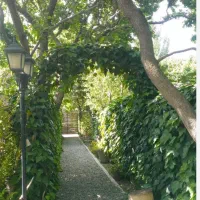 نگهبان و سرایدار شمال