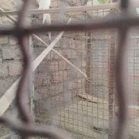 دو جفت فروشی