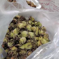 فندق با پوست دوم