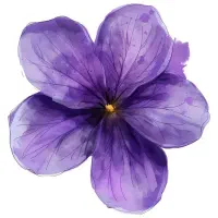 امتیاز نقدی