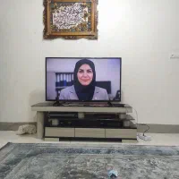 ال ای 49اینچ ال جی|تلویزیون و پروژکتور|بندرعباس, |دیوار