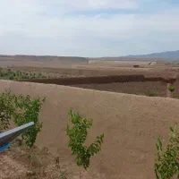 سند تک برگ کرایی میخواستم
