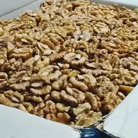 مغز گردو ایرانی