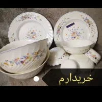 ظروف ارکوپال ویکتوریا