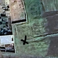 زمین تک برگ سند دار .آماده انتقال