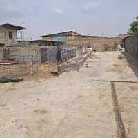 پروار بندی گوساله  گوسفندی همه چی ۷۵ راس