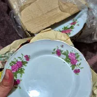 ۱۷ تا میوه خوری گل محمدی یا گل سرخی