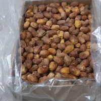 فروش خرمای زاهدی تازه