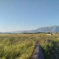 سرکارگری کارهای کشاورزی