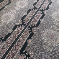 قالی شش متری سالم فروشی