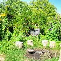 اجاره باغ ویلای رویایی در بیضا|اجارهٔ کوتاه‌مدت ویلا و باغ|بیضا, |دیوار