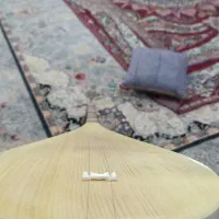 دوتار  استادی