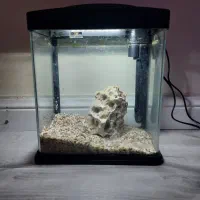 آکواریوم ماهریان با لوازم و تزئین