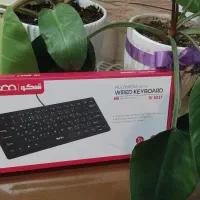 کیبورد تسکو TK8037
