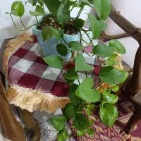 رومیزی نهارخوری شش نفره