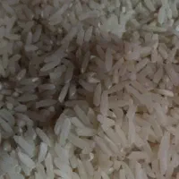 برنج محلی دم سیاه بوجار شده درجه یک|خوردنی و آشامیدنی|آزادشهر, |دیوار