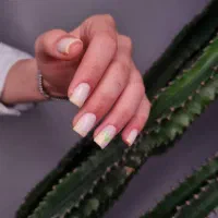 کوتاهی مو،اصلاح ابرو و سایر خدمات سالن زیبایی|خدمات آرایشگری و زیبایی|تهران, آذربایجان|دیوار