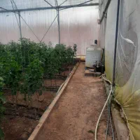 فروش گلخانه صنعتی|فروش دفتر صنعتی، کشاورزی، تجاری|عسگران, |دیوار