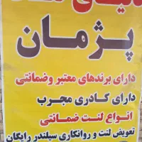 دنیای لنت پژمان