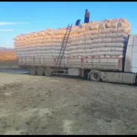 خریدار کاه دیم کمباین تناژ بالا