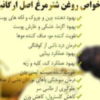 جوجه شترمرغ تخم خوراکی گوشت روغن قلم|حیوانات مزرعه|یاسوج, |دیوار