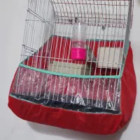 مرغ عشق خوش رنگ