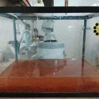 آکواریوم شیشه خم|ماهی|پاکدشت, پاکدشت (مامازند)|دیوار