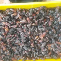 خرما شهابی پاک کرده وشسته شده به صورت فله|خوردنی و آشامیدنی|آبپخش, |دیوار