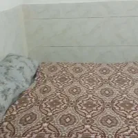 سوییت اجاره ای روزانه و ساعتی|اجارهٔ کوتاه‌مدت آپارتمان و سوئیت|مشهد, سجادیه|دیوار