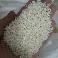 نیم دانه دودی