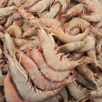 فروش ماهی و میگو|خوردنی و آشامیدنی|تهران, سهروردی|دیوار