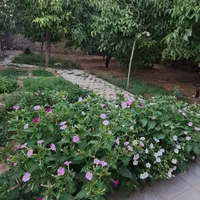 اجاره سوئیت ویلایی روزانه هفتگی و ماهانه|اجارهٔ کوتاه‌مدت آپارتمان و سوئیت|شهرکرد, |دیوار