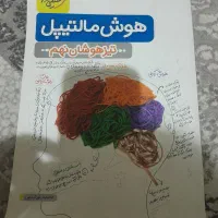 هوش مالتیپل نهم