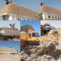 کاه نیشکر باگاس نیشکر تفاله دامی خوزستان