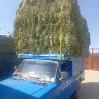 خرید و فروش یونجه بصورت نقدنقد...