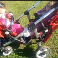 کالسکه دوقلو