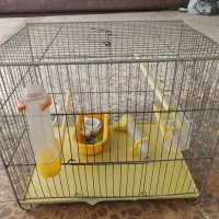 قفس با وسایل